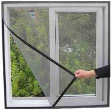 Window Nets